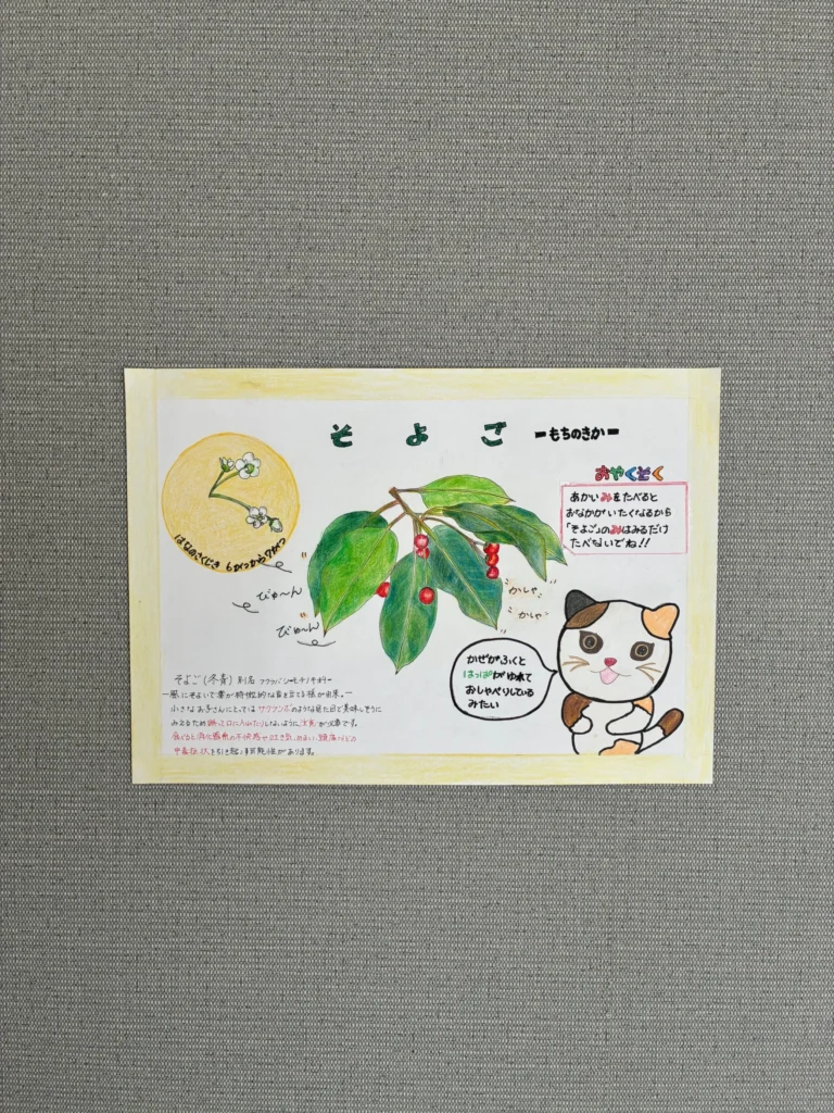 ソヨゴの木を頑張って説明するポテト